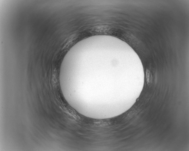 X0000052971107200508051007