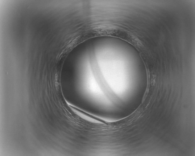 X0000052971108200508051007