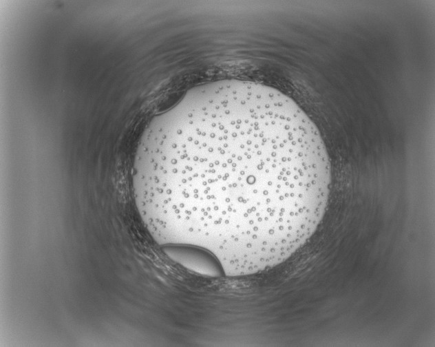 X0000052971109200508051007