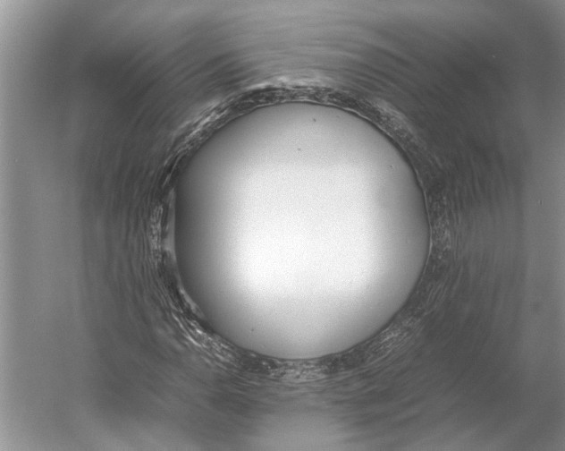 X0000052971110200508051007