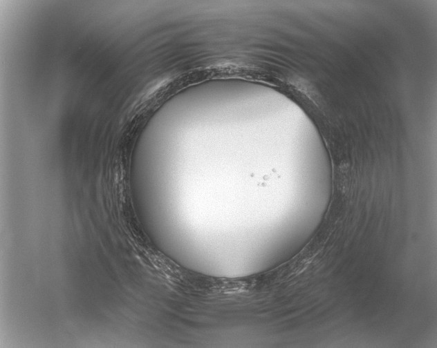 X0000052971111200508051007