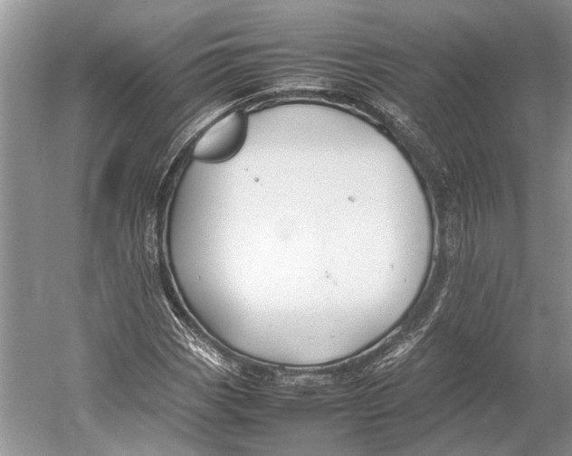 X0000052971113200508051007