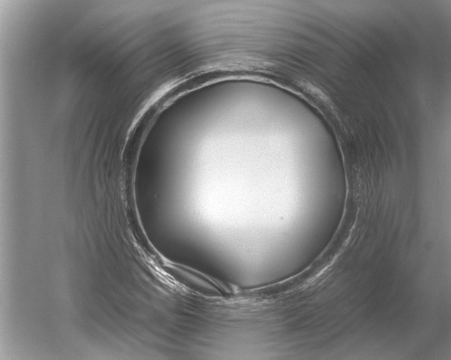 X0000052971114200508051007