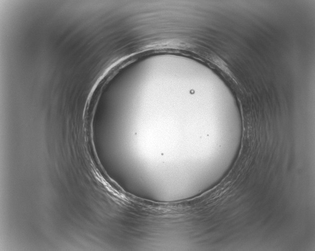 X0000052971116200508051007