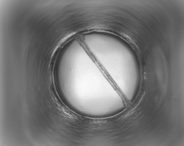 X0000052971117200508051007