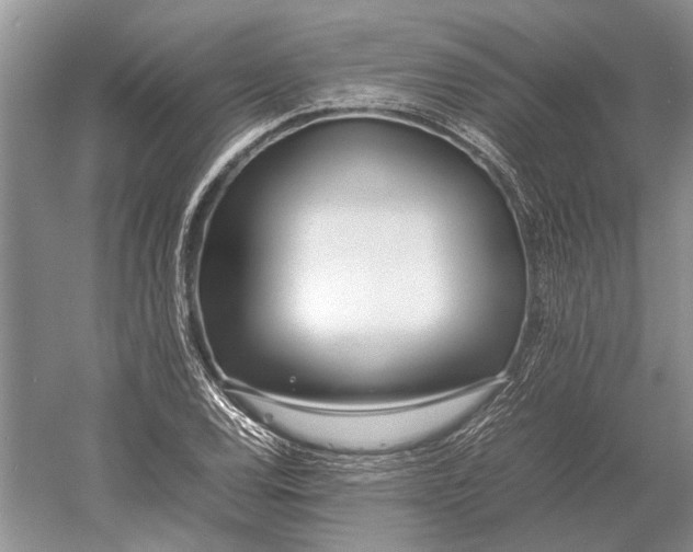 X0000052971120200508051007