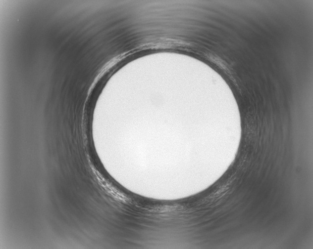 X0000052971122200508051007