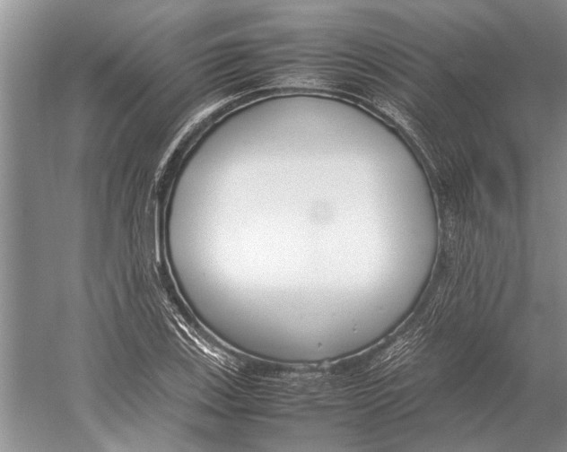 X0000052971123200508051007