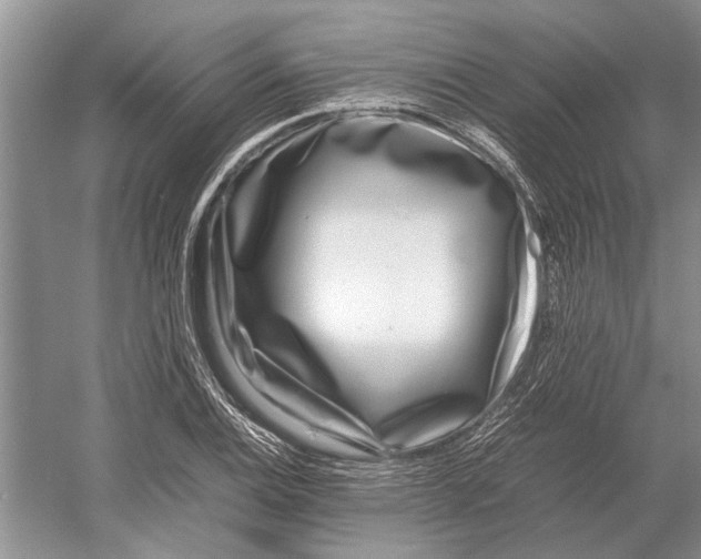 X0000052971124200508051007