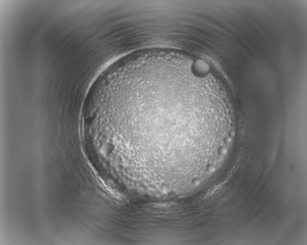 X0000052971125200508051007