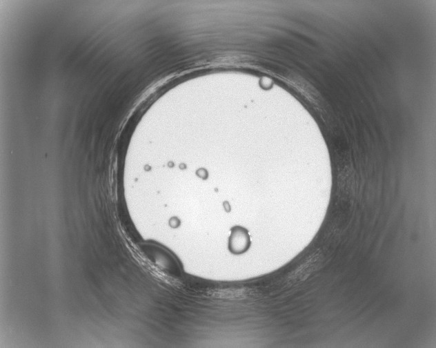 X0000052971126200508051007