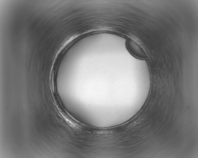 X0000052971127200508051007