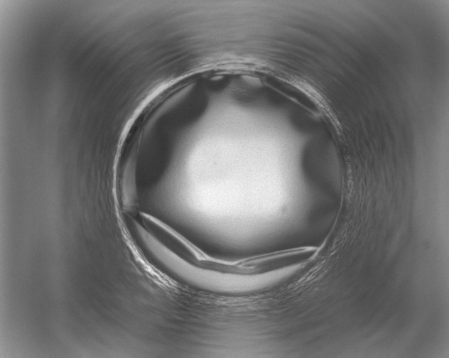 X0000052971128200508051007