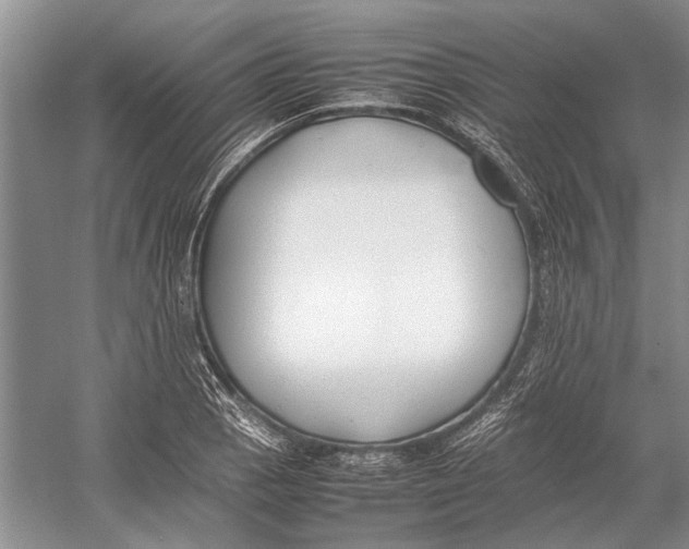 X0000052971129200508051007