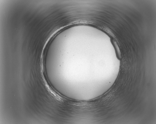 X0000052971132200508051007