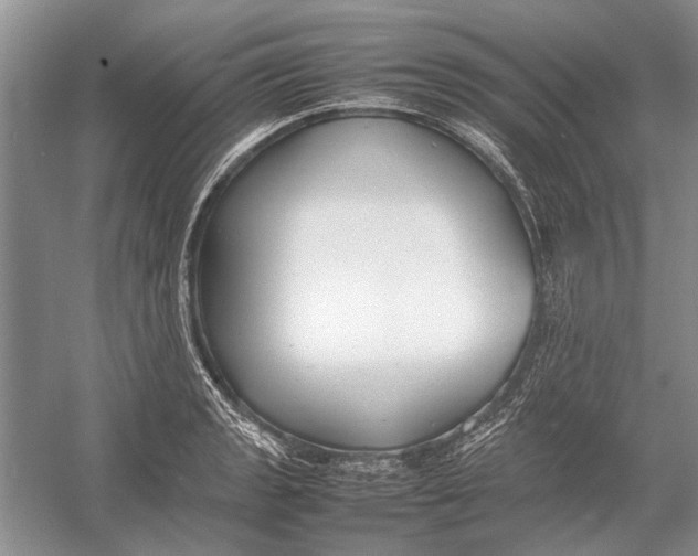 X0000052971133200508051007