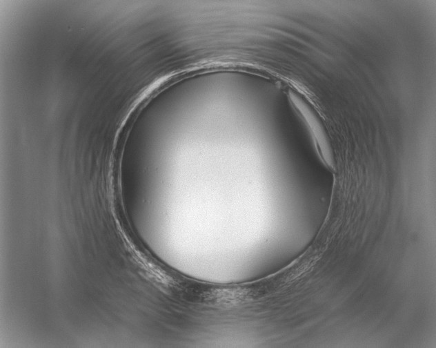 X0000052971134200508051007