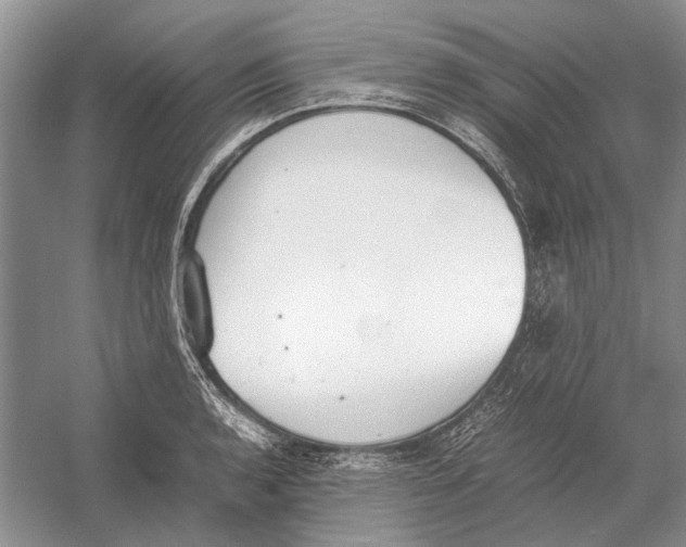 X0000052971136200508051007