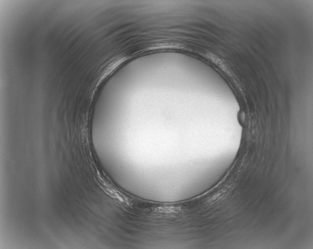 X0000052971137200508051008