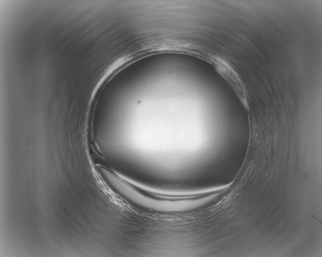 X0000052971138200508051008