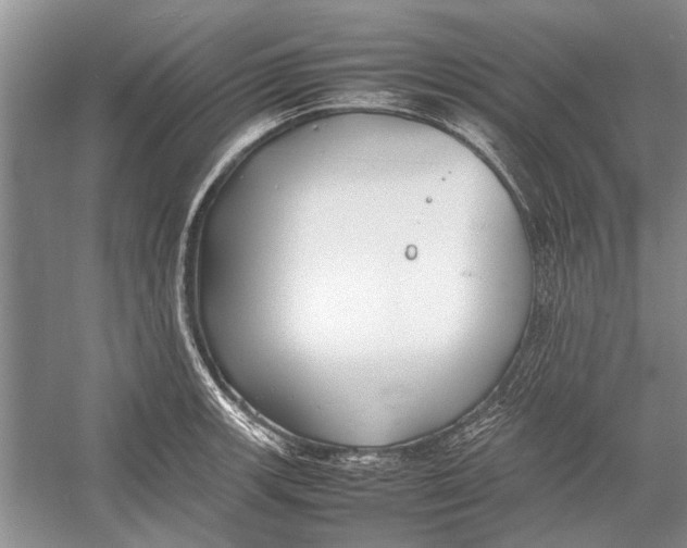 X0000052971139200508051008