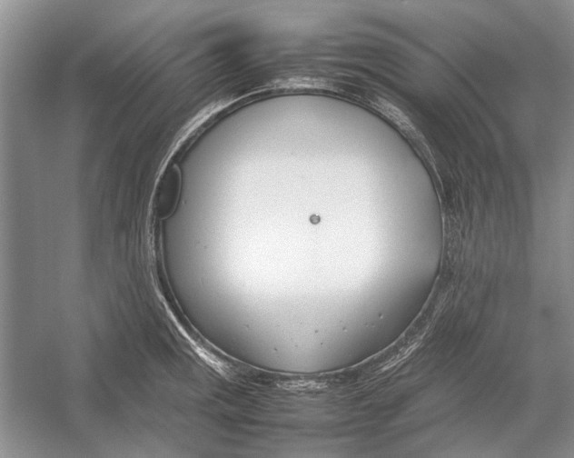 X0000052971141200508051008