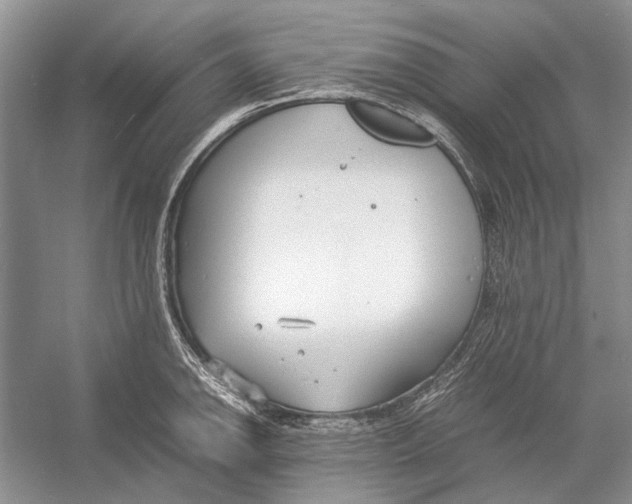 X0000052971142200508051008