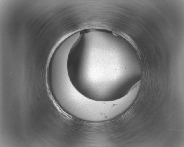 X0000052971144200508051008