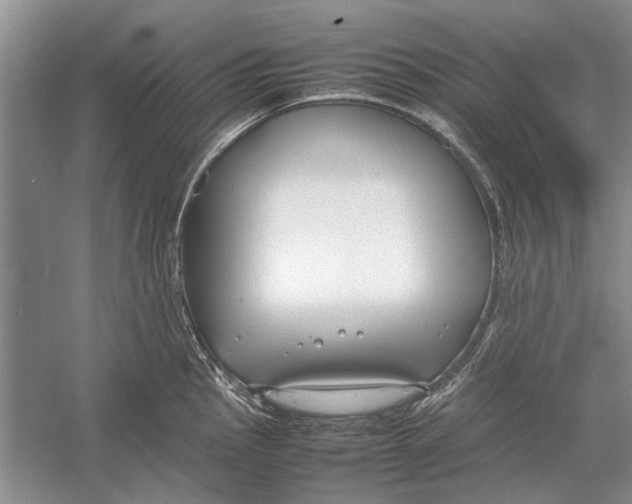 X0000052971145200508051008