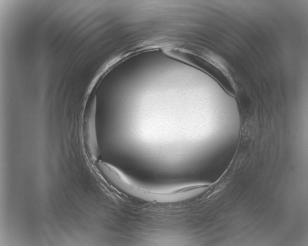 X0000052971146200508051008