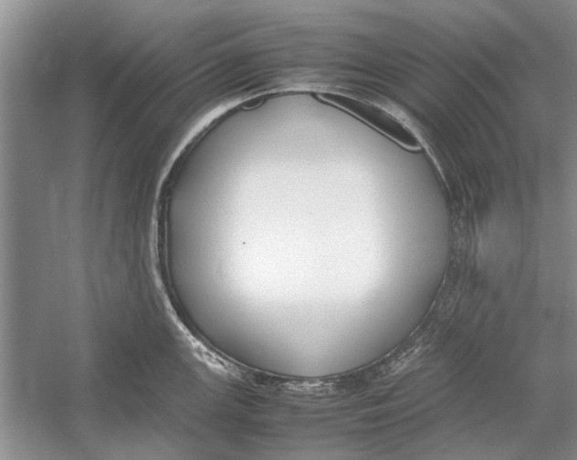 X0000052971147200508051008