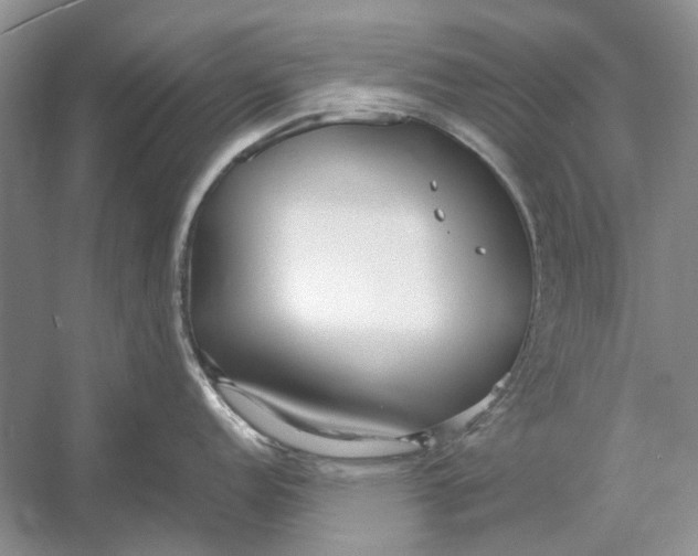 X0000052971152200508051008