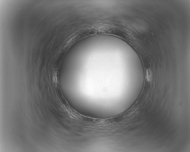 X0000052971155200508051007