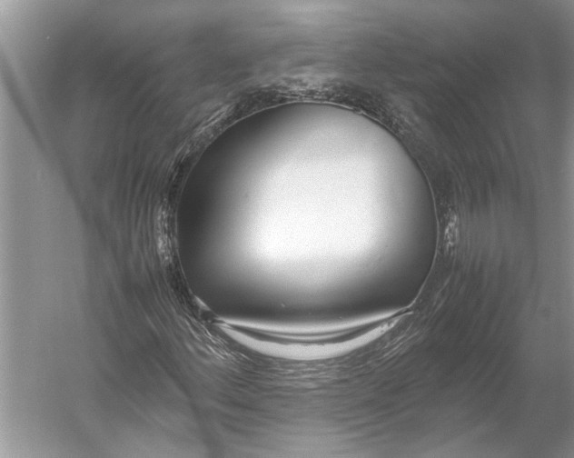 X0000052971156200508051007