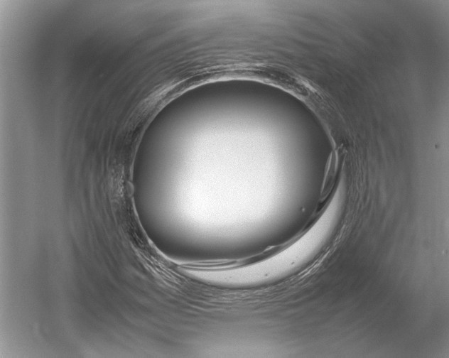 X0000052971161200508051007