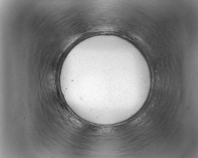 X0000052971162200508051007