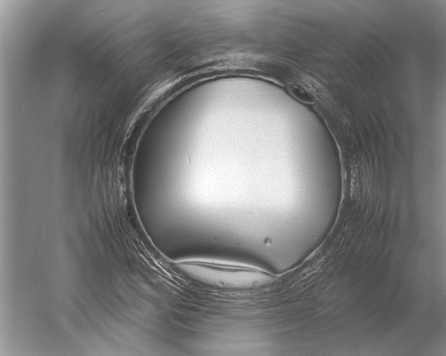 X0000052971164200508051007