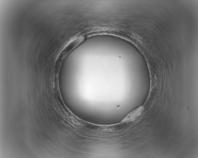 X0000052971165200508051007