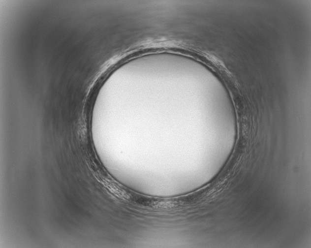 X0000052971167200508051007