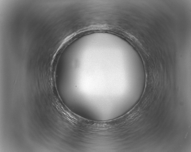 X0000052971168200508051007