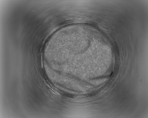 X0000052971171200508051007