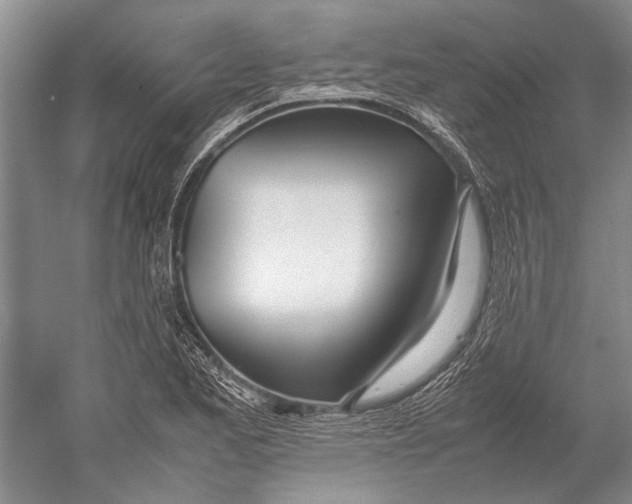 X0000052971173200508051007