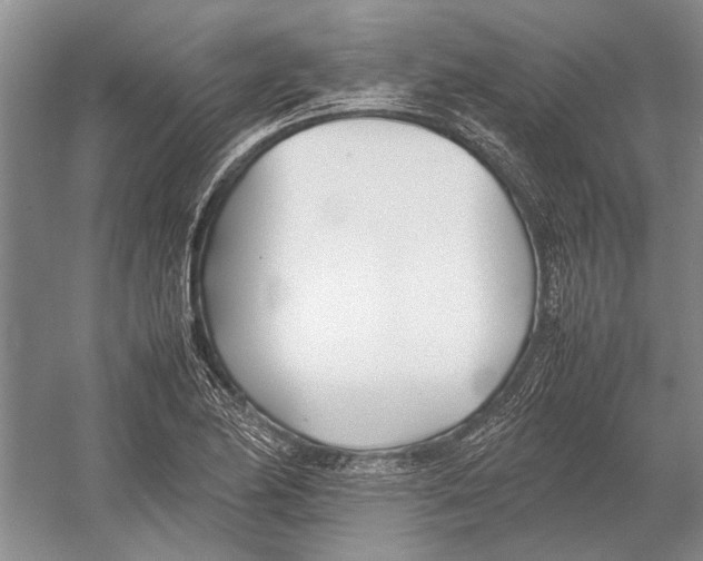 X0000052971174200508051007