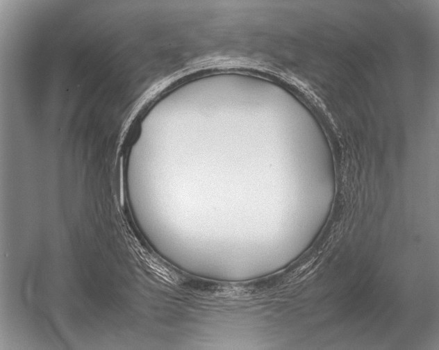 X0000052971175200508051007