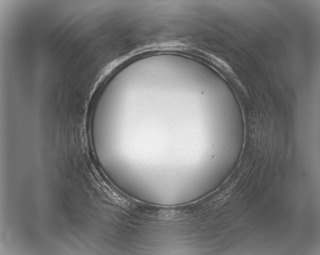 X0000052971176200508051007