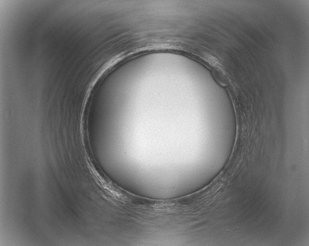 X0000052971181200508051006