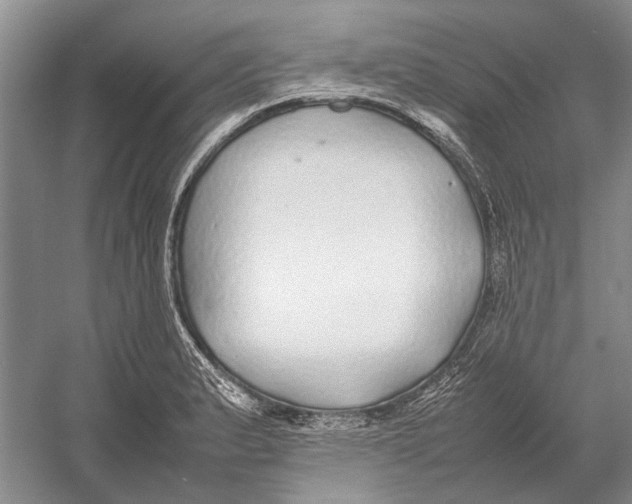 X0000052971183200508051006