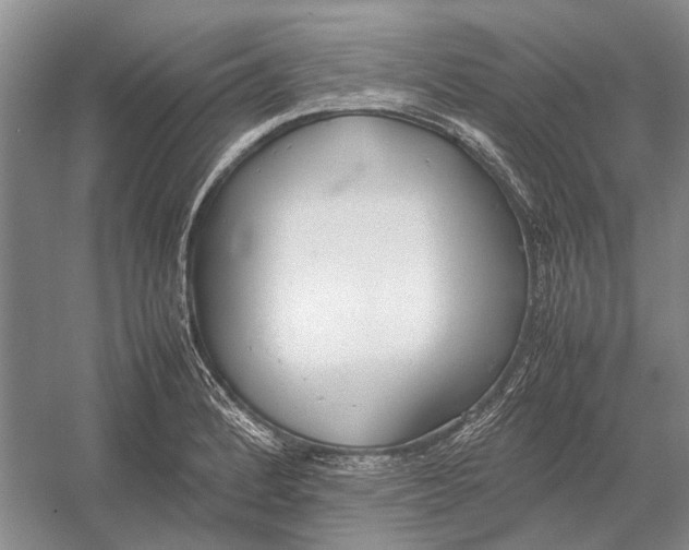 X0000052971184200508051006