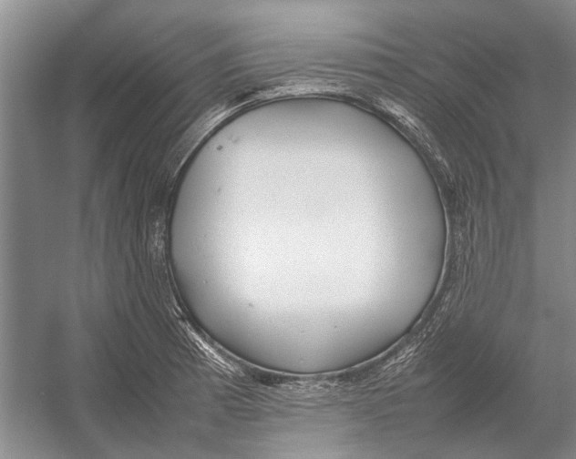 X0000052971185200508051006