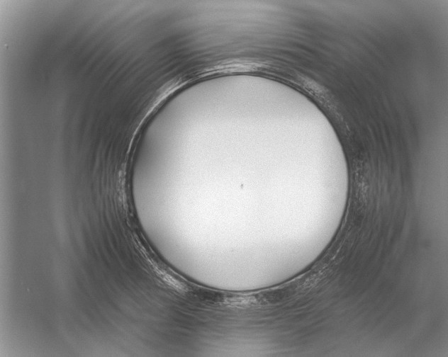 X0000052971186200508051006